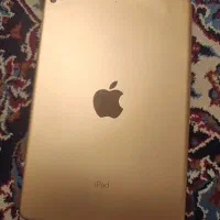 iPad mini 5|تبلت|تهران, امام حسین|دیوار