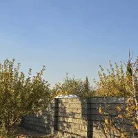 فروش باغچه در دشت ارژن|فروش زمین و ملک کلنگی|شیراز, ارم|دیوار