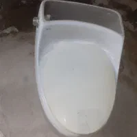 توالت فرنگی
