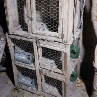 دو عدد جفت کن سالم و خوب|لوازم جانبی حیوانات|قنوات, |دیوار
