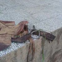 زین اسب|اسب و تجهیزات اسب‌سواری|تنکمان, |دیوار