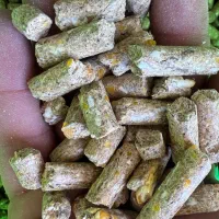 کنسانتره مش وپلیت شیری و پرواری سبوس جو دزت|عمده‌فروشی|گلپایگان, |دیوار