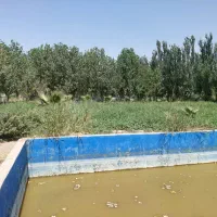 فروش ۱۰۰۰ متری در ده خیر جاده ورامین|فروش دفتر صنعتی، کشاورزی، تجاری|تهران, خاوران|دیوار