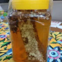 روغن آفتابگردان تخمه ایرانی اصل|خوردنی و آشامیدنی|رشت, حافظ آباد|دیوار