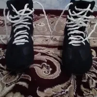 کفش بوکس