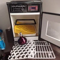 دستگاه جوجه کشی|لوازم جانبی حیوانات|نیک شهر, |دیوار