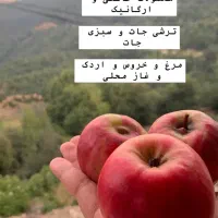 محصولات خانگی و ارگانیک و برنج طارم هاشمی