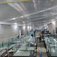 اکواریوم ریملس تولید مستقیم بدون واسطه|ماهی|تهران, وردآورد|دیوار