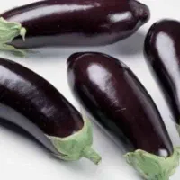 بادمجان و انار و رب انار|خوردنی و آشامیدنی|مرودشت, علیآباد|دیوار