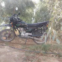 احسان شکاری ۴۰۳