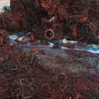 موتور کولر آبی( ضایعات مس)