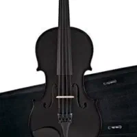 ویولن مشکی حرفه ای