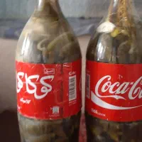 خیارشوربطری خانواده