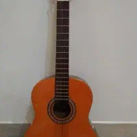 گیتار پویا سفارشی ساخت