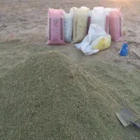 کاه خار شتر فروش