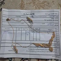 طلا نو گردنبند و گوشواره