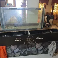 دو تا اکواریوم شیشه زخیم