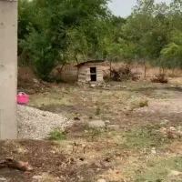 فروش ویلای ۳۵۰متری پاه کوه بازیربنای ۶۰متری|فروش خانه و ویلا|شاندرمن, |دیوار