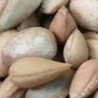 الوک ، بنه ،زود