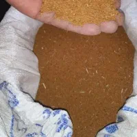 بذر یونجه|گل و گیاه طبیعی|فاروج, |دیوار