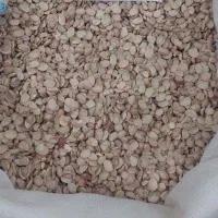 لوبیا چیتی نصفه