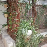 آپارتمان ۱۴۰متری طبقه اول/تخلیه