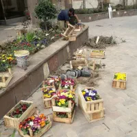 کلیه خدمات باغبانی سمپاشی تعویض گلدان سمپاشی سوسک|خدمات باغبانی و درختکاری|تهران, الهیه|دیوار