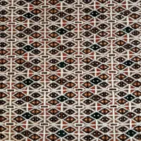 دو عدد فرش دستباف ترکمن|فرش|کرج, شهرک جهان‌نما|دیوار