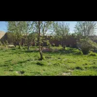 زمین|فروش زمین و ملک کلنگی|کنگاور, |دیوار