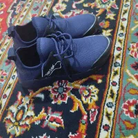 کفش اسپرت