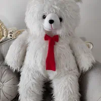 خرس بزرگ نو۱۲۰