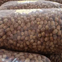 قصب پاک شده پلاستیک گرفته کیلویی82|خوردنی و آشامیدنی|فراشبند, |دیوار