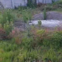 تهاتر ومعاوضه ۵۹۰ مترزمین داخل شهر مسکونی ویلایی