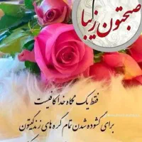 همکار خانم جهت کار در فروشگاه (شهرک کشوری(