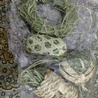 خرگوش ماده اصیل و اسباب بازی خرگوش|موش و خرگوش|مشهد, تربیت (صدف)|دیوار