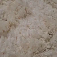 فرش شگی 6متری پنبه