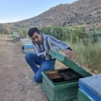عسل طبیعی با برگ آزمایش همراه ارسال رایگان