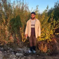 نهالستان بادام مردانی|گل و گیاه طبیعی|خوی, |دیوار