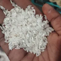 برنج پاکستانی من پسند دانه ریز 20کیلویی دانه سفید