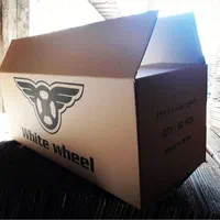 صنایع کارتن سازی، جعبه سازی آریو