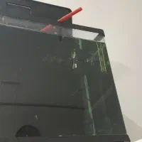 آکواریوم و وسایل|ماهی|گناباد, |دیوار