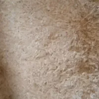 کاه|حیوانات مزرعه|سردرود, |دیوار