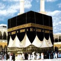 فروش فیش حج 86