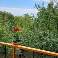 اجاره روزانه/هفتگی/ماهانه ویلا ۷۰ متری در حومه رشت|اجارهٔ کوتاهمدت ویلا و باغ|رشت, حومه رشت|دیوار