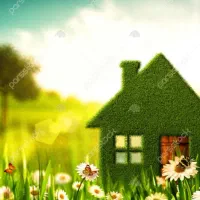 شرکت خدماتی نظافتی خانه سبز