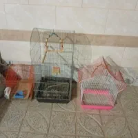 چند تا قفس پرنده