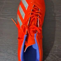 کفش سالنی اورجینال|تجهیزات ورزشی|تربت جام, میان جام|دیوار