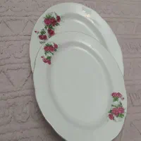 دوتادیس گل سرخ سالم وتمیز|ظروف سرو و پذیرایی|تبریز, |دیوار
