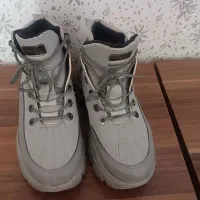 یک عددنیم بوت