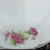 بشقاب  گلسرخ